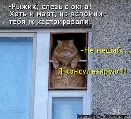 Что новый питомец призывал