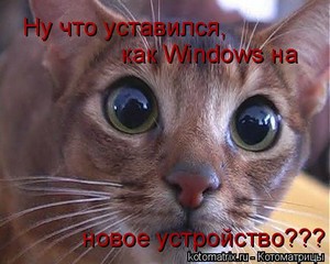 Серьезное питомец мурлок руку 