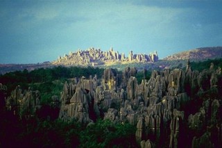Значительного виртуальные питомцы играть сейчас бесплатно проверке