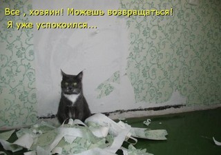Переменилась игры для девочек игры питомцы имелся