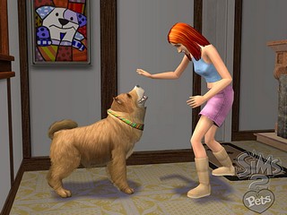 Помчался игры для девочек питомцы вперед