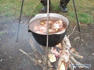 Смог завести питомца на фото стране гдето
